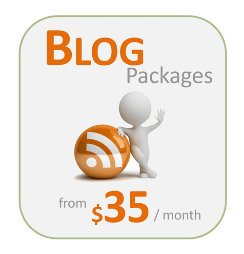Blog Writing Packages